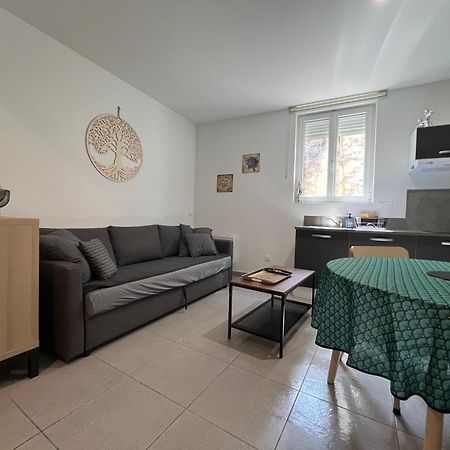 Fenix Appartement T2 40 M2 Cosy Rdc Plein Centre Ville ピエールラット エクステリア 写真