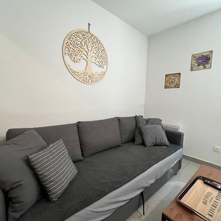 Fenix Appartement T2 40 M2 Cosy Rdc Plein Centre Ville ピエールラット エクステリア 写真