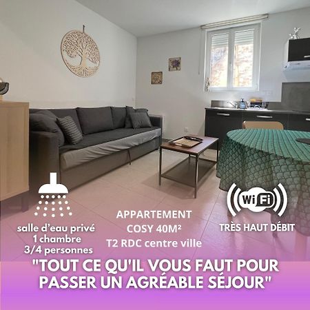 Fenix Appartement T2 40 M2 Cosy Rdc Plein Centre Ville ピエールラット エクステリア 写真