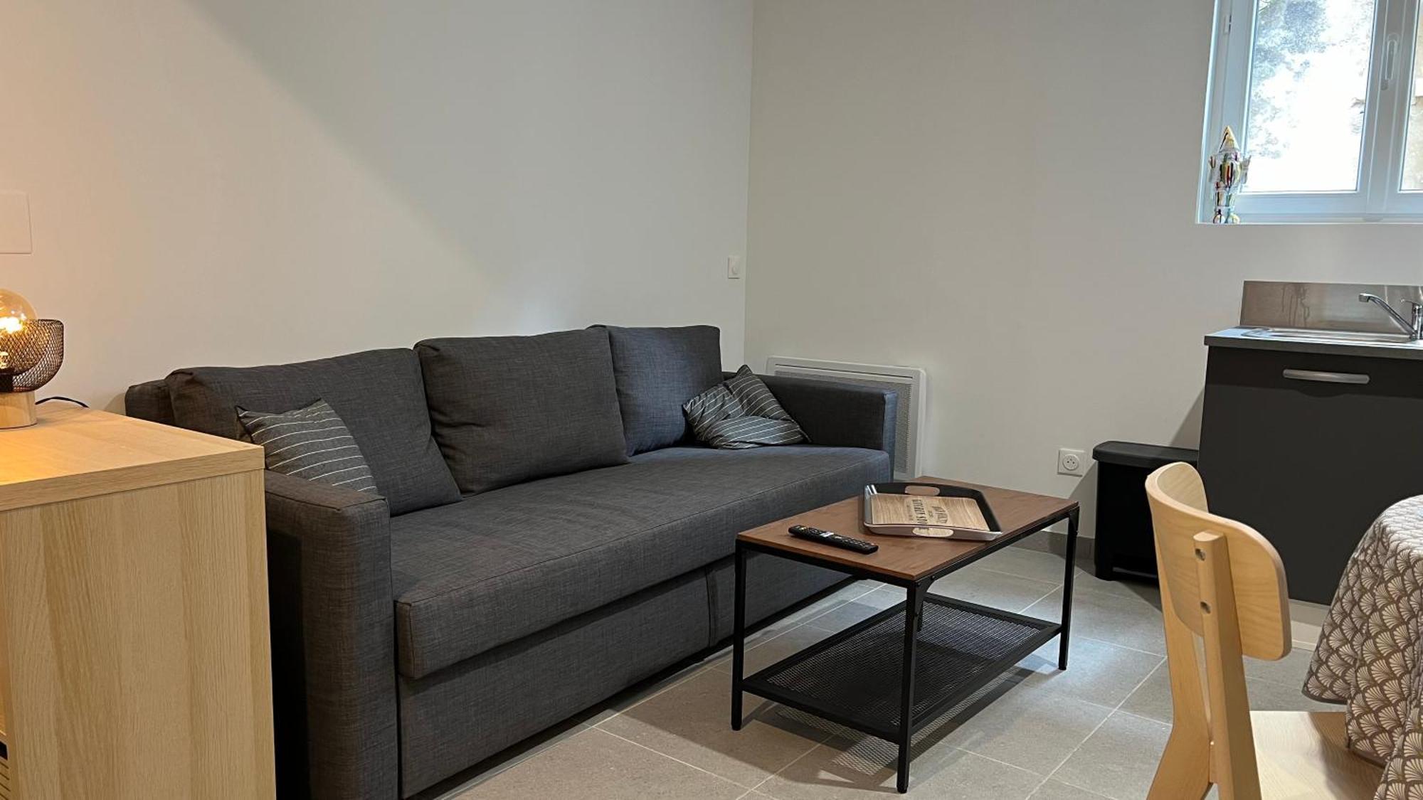 Fenix Appartement T2 40 M2 Cosy Rdc Plein Centre Ville ピエールラット エクステリア 写真