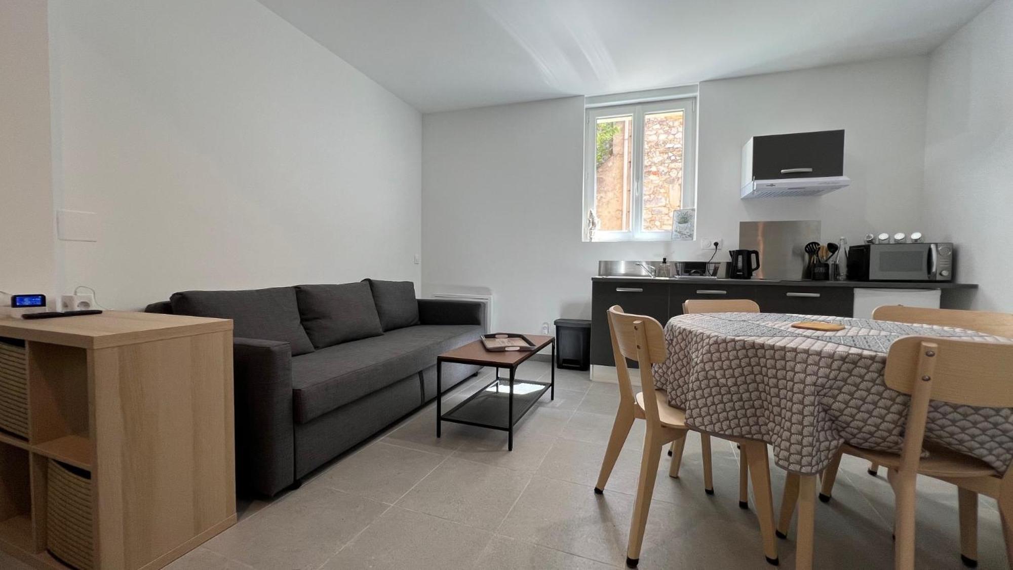 Fenix Appartement T2 40 M2 Cosy Rdc Plein Centre Ville ピエールラット エクステリア 写真
