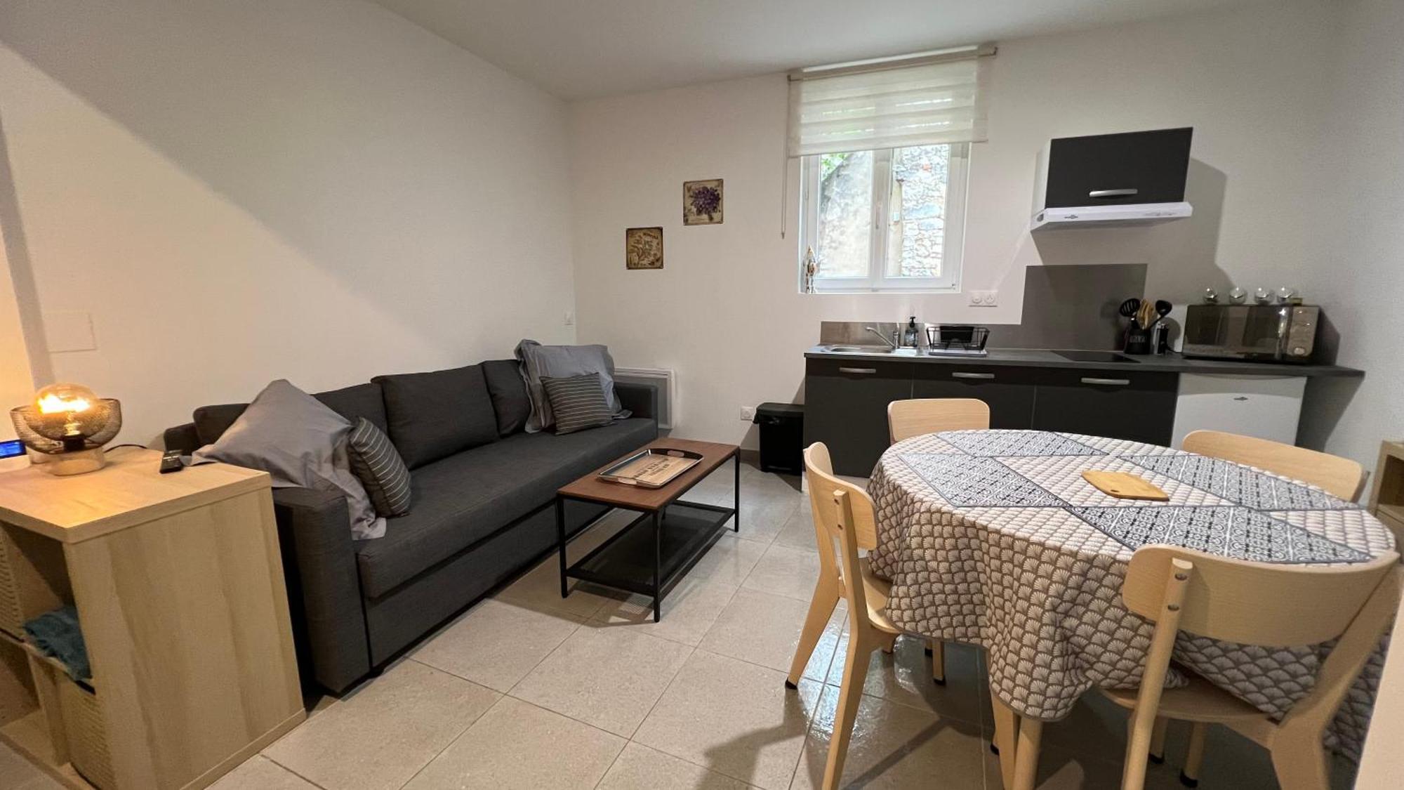 Fenix Appartement T2 40 M2 Cosy Rdc Plein Centre Ville ピエールラット エクステリア 写真