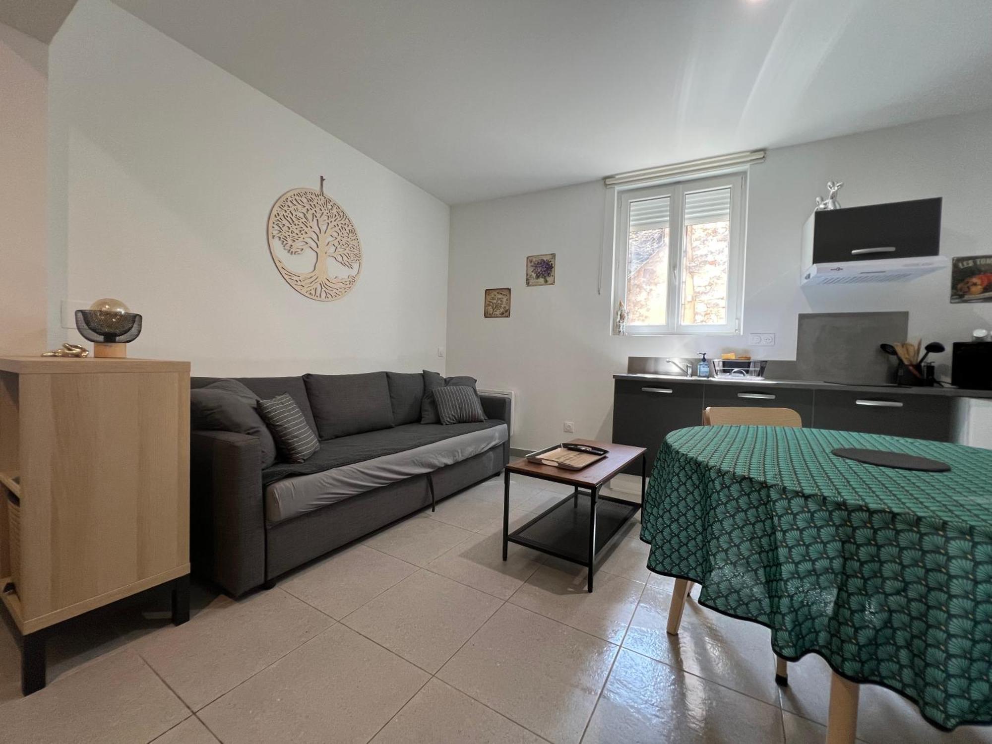 Fenix Appartement T2 40 M2 Cosy Rdc Plein Centre Ville ピエールラット エクステリア 写真