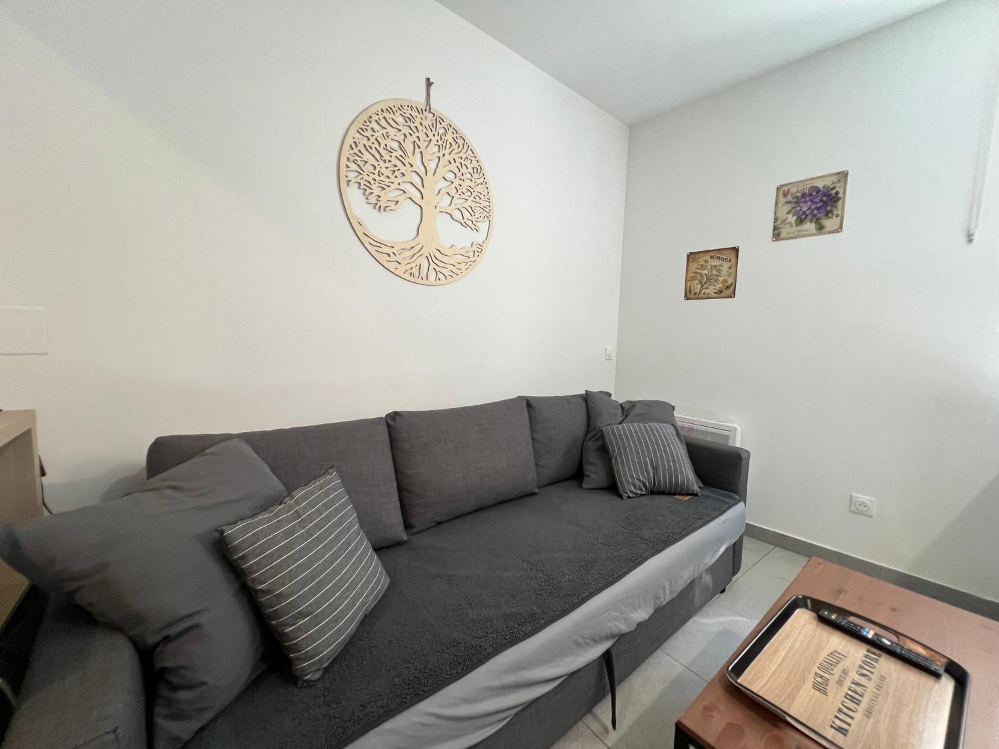 Fenix Appartement T2 40 M2 Cosy Rdc Plein Centre Ville ピエールラット エクステリア 写真