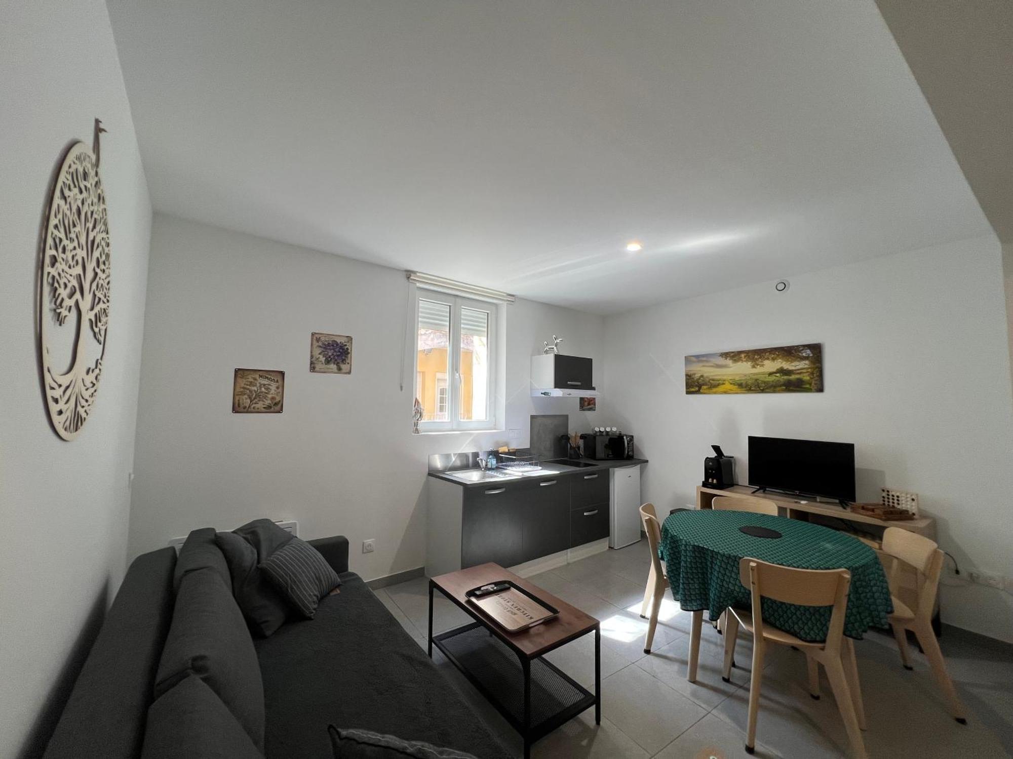 Fenix Appartement T2 40 M2 Cosy Rdc Plein Centre Ville ピエールラット エクステリア 写真