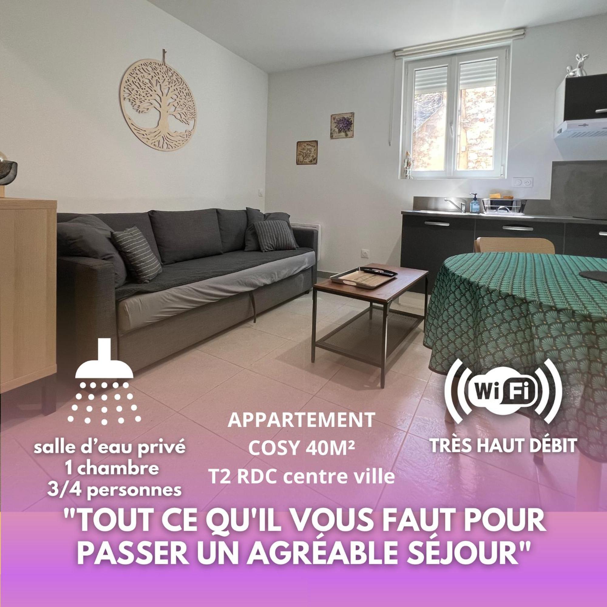 Fenix Appartement T2 40 M2 Cosy Rdc Plein Centre Ville ピエールラット エクステリア 写真